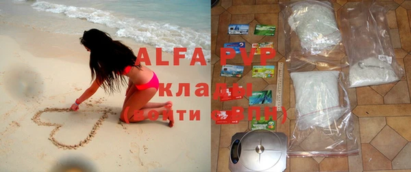 трава Балахна