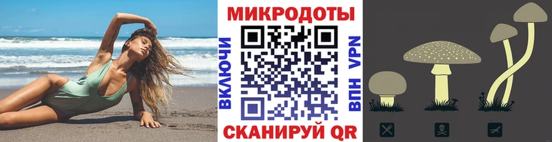 Псилоцибиновые грибы прущие грибы  shop Telegram  Избербаш  магазин продажи наркотиков 
